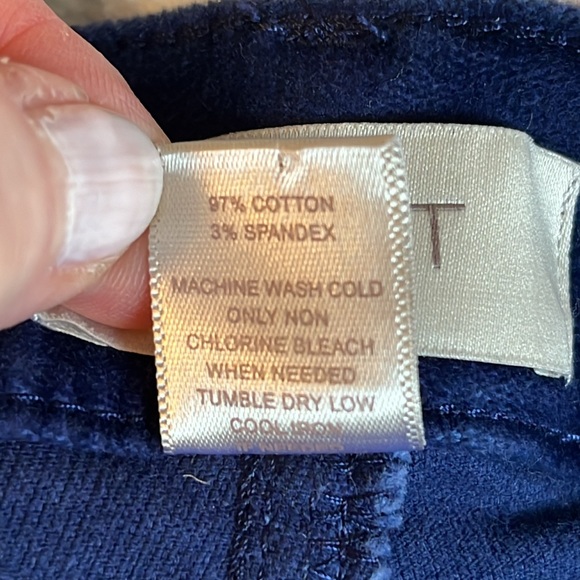 Loft Blue Velvet Pants - Picture 8 of 9